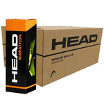 Caja de Pelotas de tenis Head Championship x24